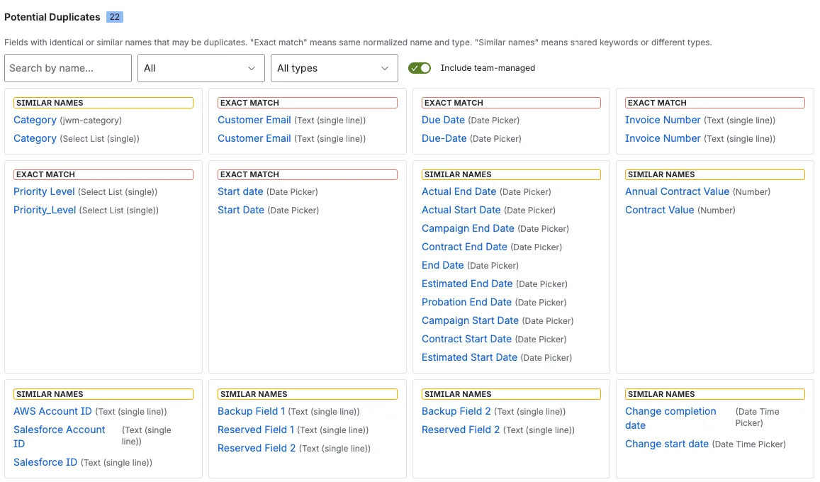 Potential Duplicates panel with exact match and similar name groups, plus the field table with advanced filters.